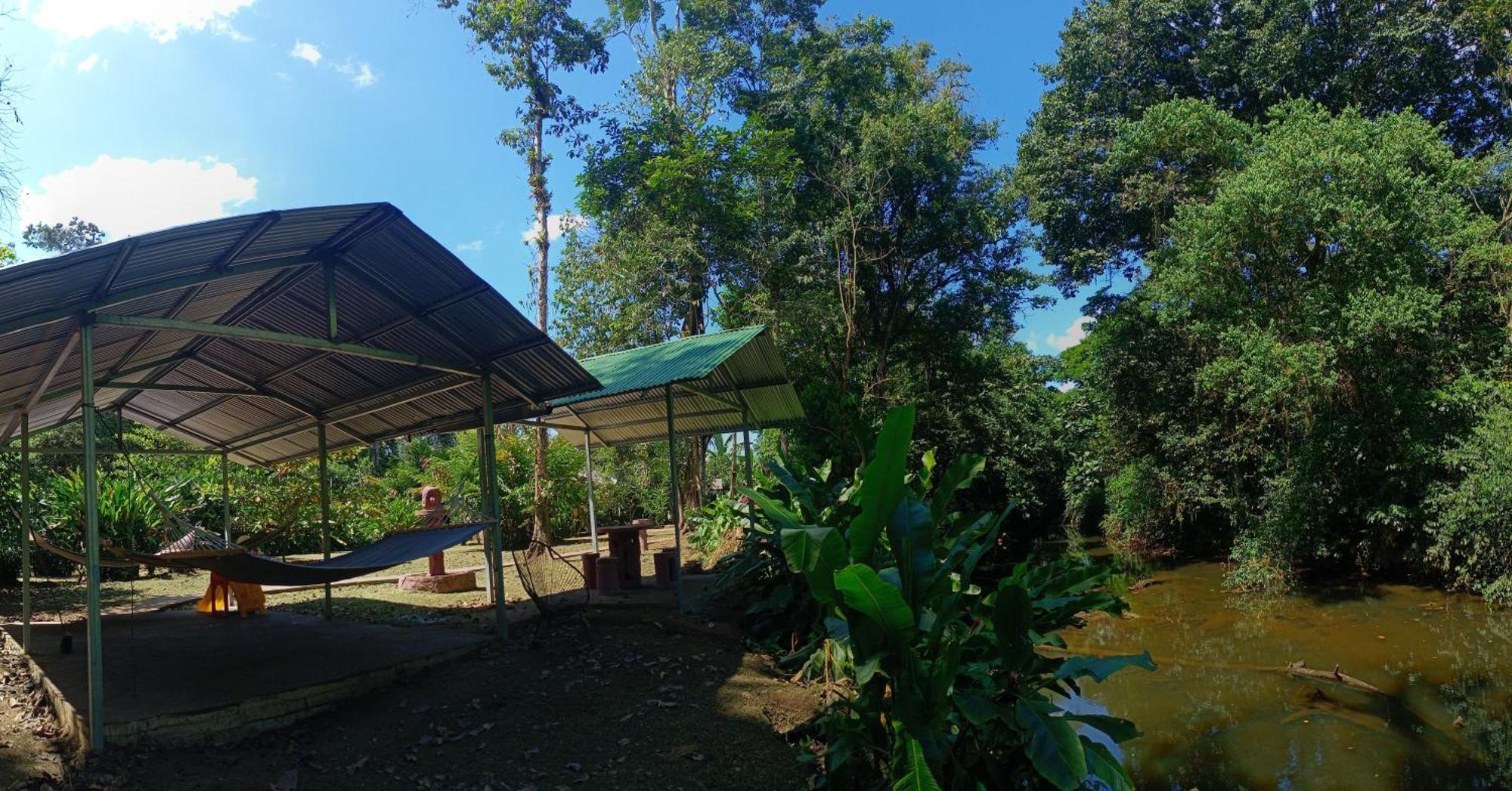 Finca La Paz - Sarapiqui Puerto Viejo de Sarapiqui Exteriör bild