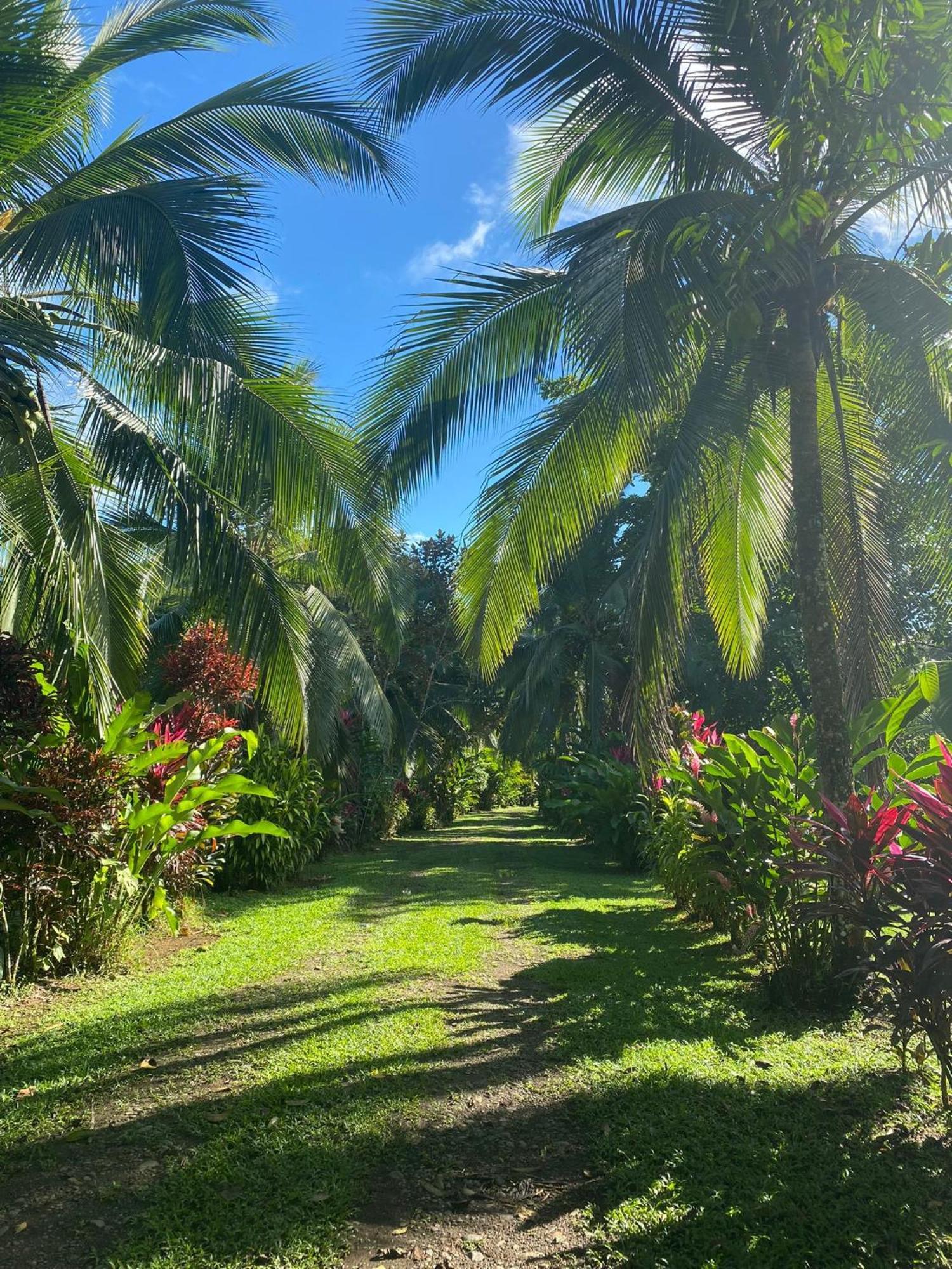 Finca La Paz - Sarapiqui Puerto Viejo de Sarapiqui Exteriör bild