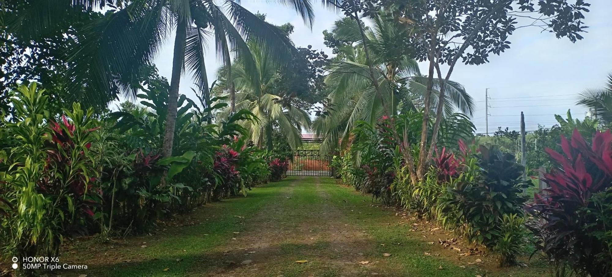 Finca La Paz - Sarapiqui Puerto Viejo de Sarapiqui Exteriör bild